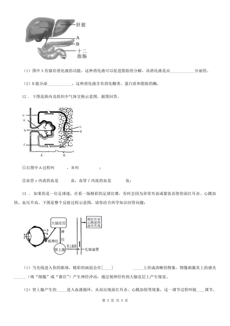 人教版（新课程标准）2019-2020年度七年级下学期期末生物试题D卷_第3页