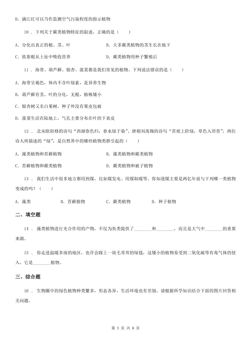 北师大版八年级下册生物当堂练习 22.3植物的主要类群_第3页