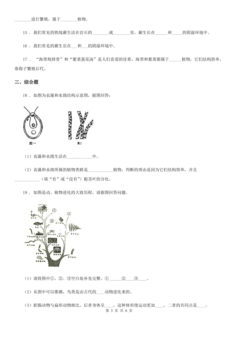 2019-2020学年鲁科版（五四制）六年级下册生物 1.2苔藓和蕨类植物 同步测试_第3页