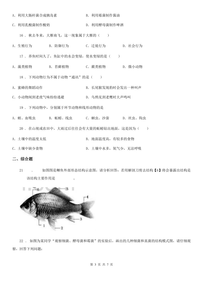 人教版（新课程标准）八年级生物期中检测卷_第3页