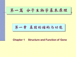 分子生物学-基因的结构和功能