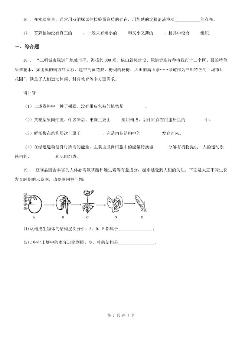 人教版（新课程标准）七年级上册生物 第三章 形形色色的植物 单元测试题_第3页