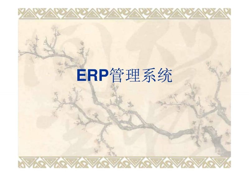 《ERP管理系统》PPT课件_第1页