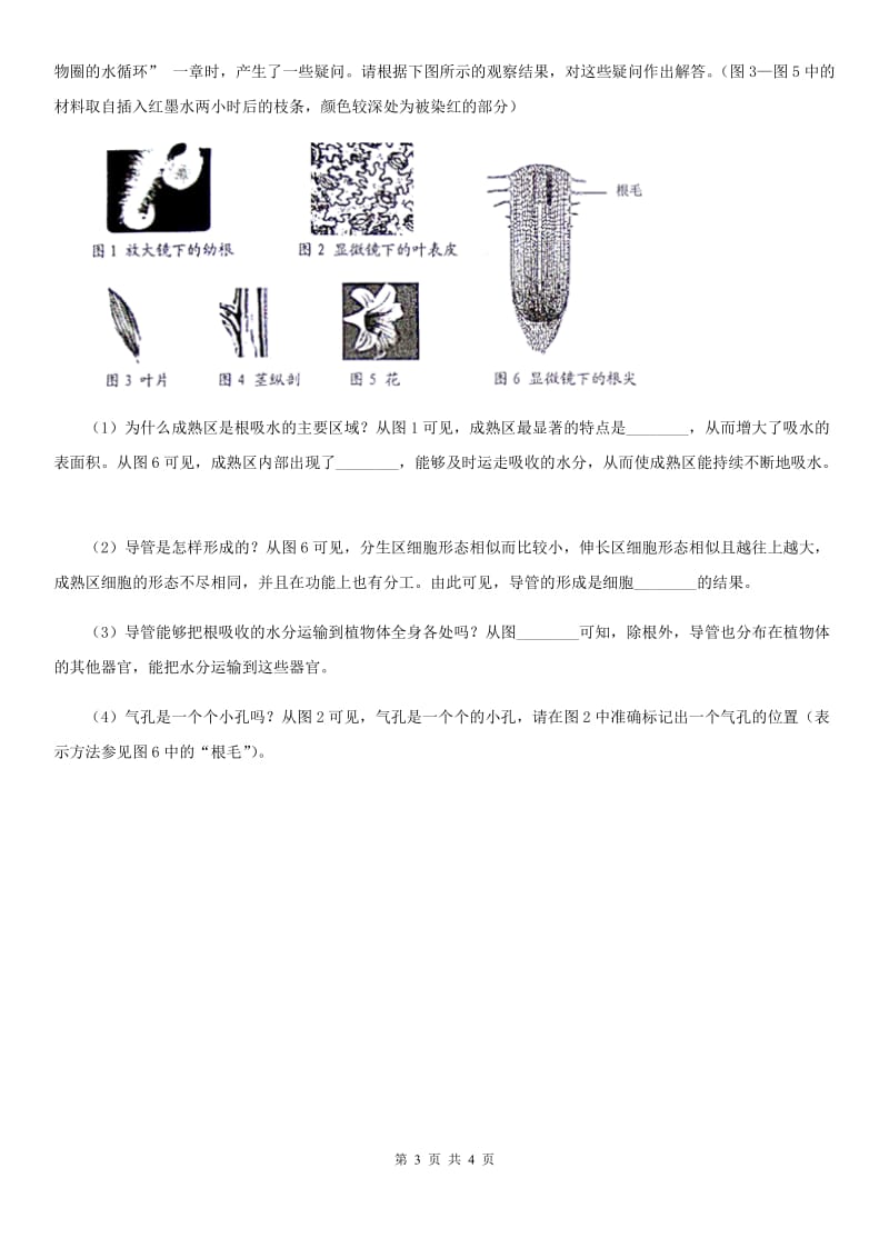 人教版生物七年级上册3.3.1绿色植物与生物圈的水循环同步练习题_第3页