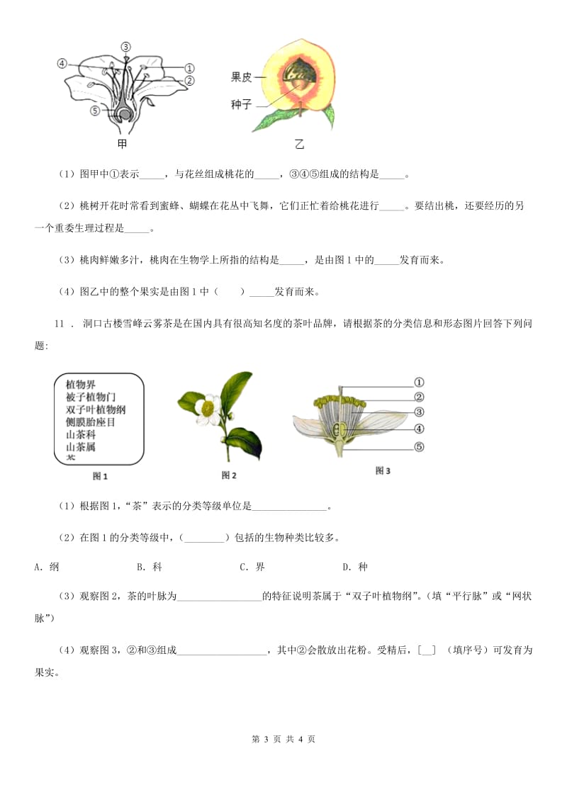 人教版生物七年级上册3.2.3开花和结果同步练习题_第3页