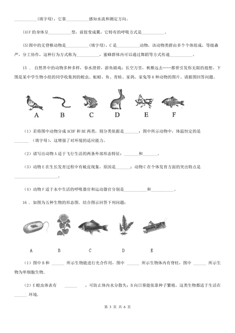 人教版八年级生物上册同步练习：5.1.6　鸟_第3页