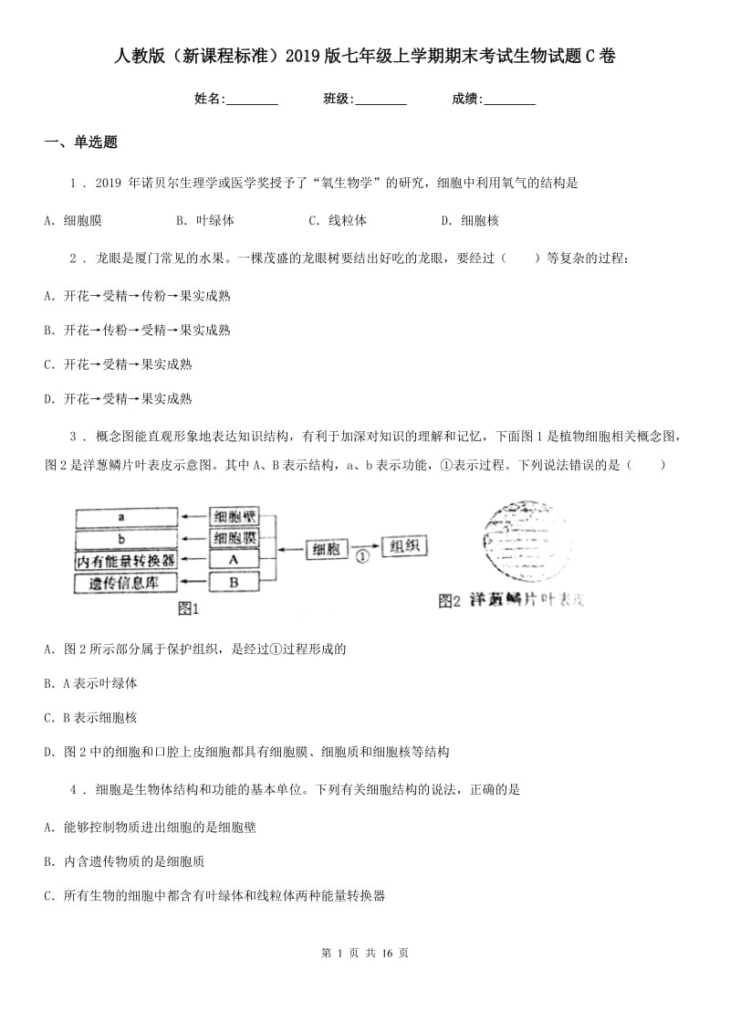 人教版（新课程标准）2019版七年级上学期期末考试生物试题C卷_第1页