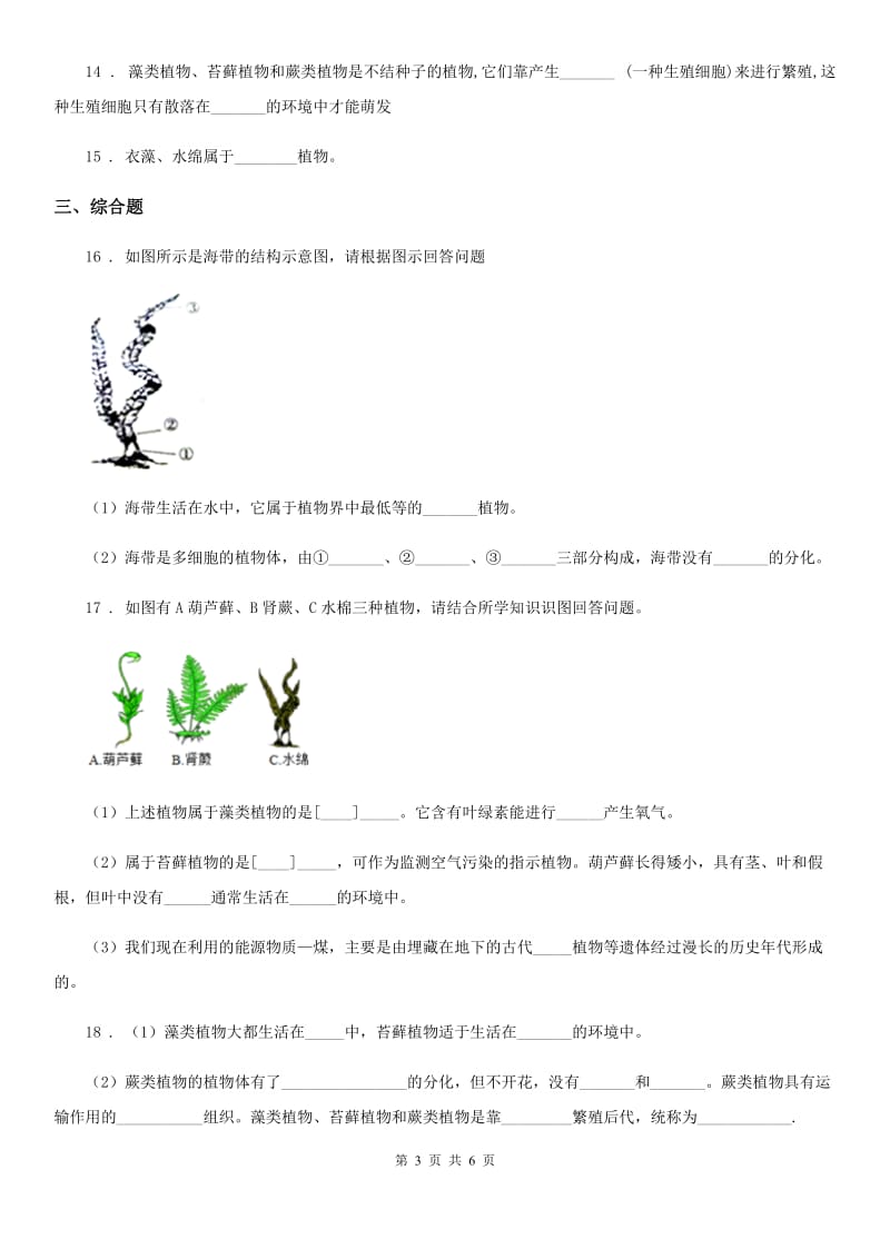 北师大版八年级下册生物当堂练习 22.3植物的主要类群_第3页