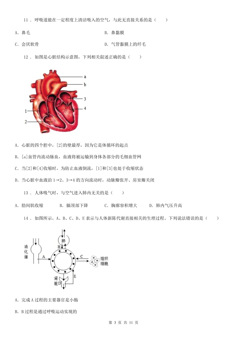 人教版（新课程标准）2020年（春秋版）七年级下学期期末生物试题A卷(模拟)_第3页