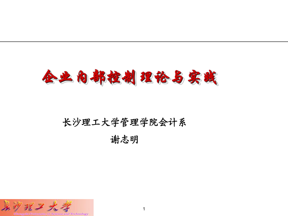 企业内部控制理论与实践_第1页