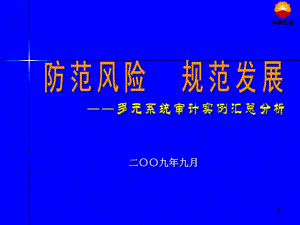 [PPT模板]二OO九年審計(jì)案例分析財(cái)務(wù)版