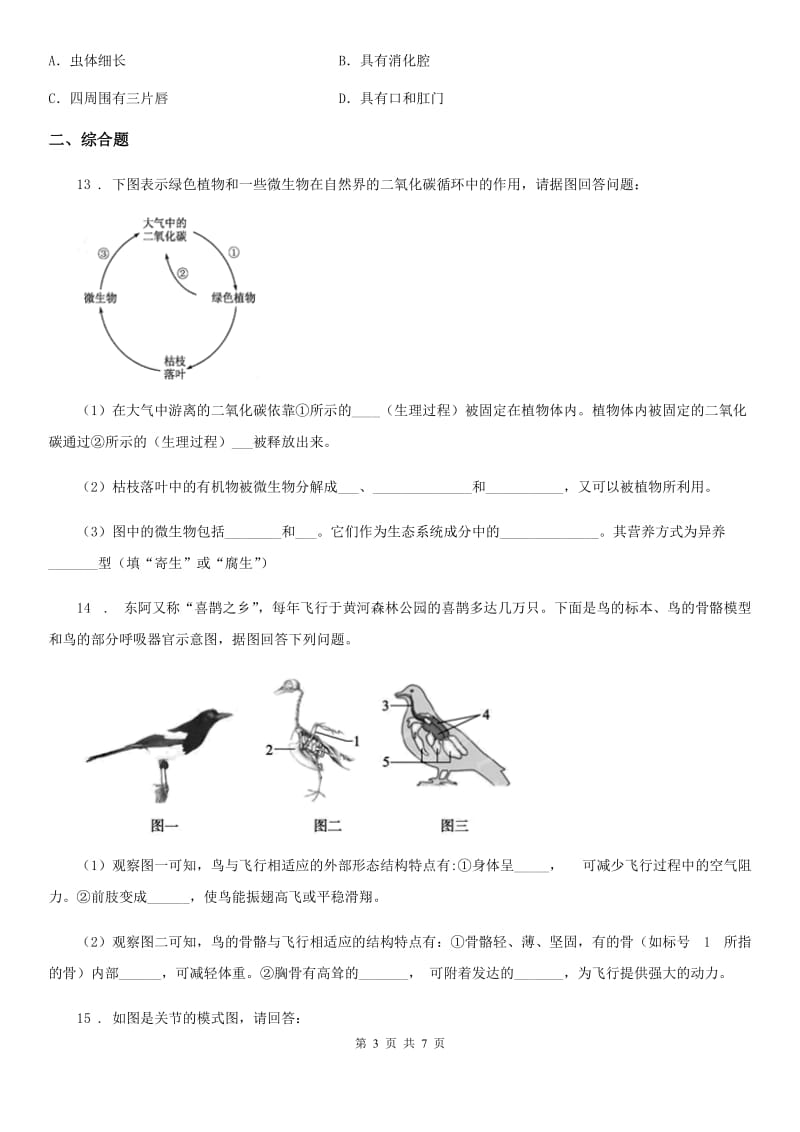 人教版（新课程标准）八年级上学期生物试题_第3页