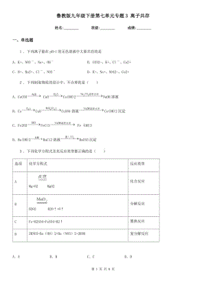 魯教版九年級(jí)化學(xué)下冊(cè)第七單元專題3 離子共存