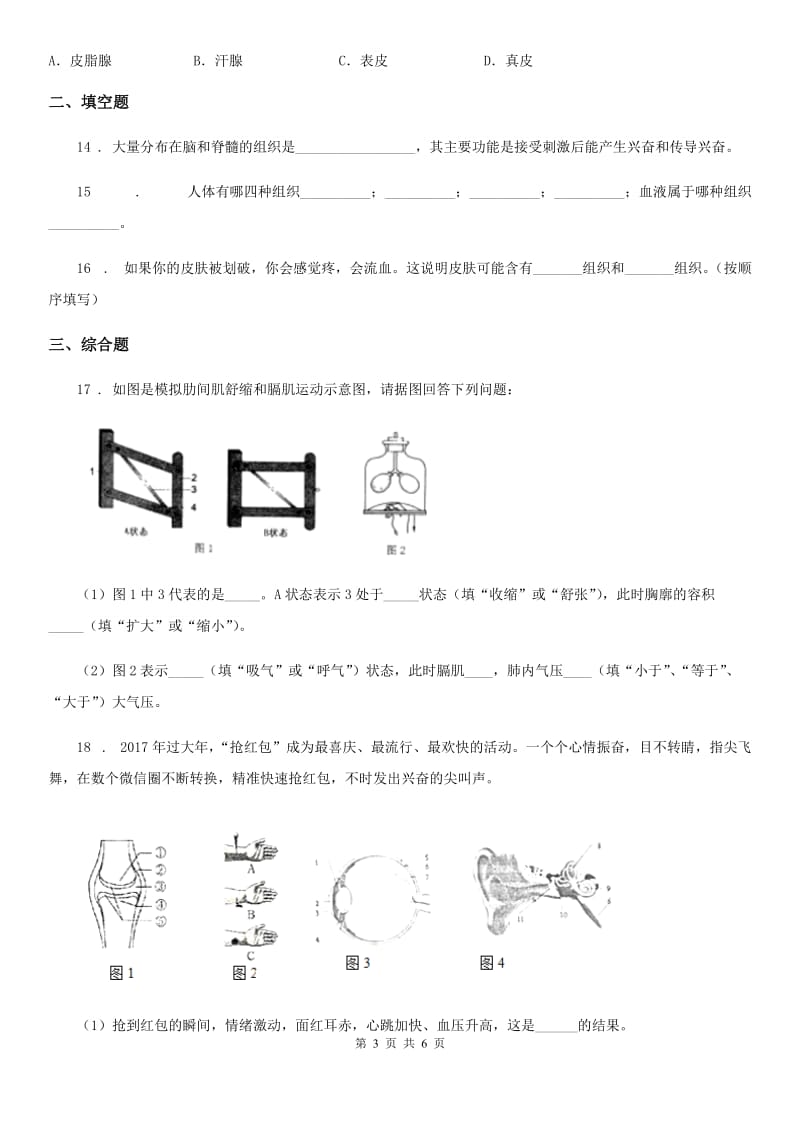 北师大版七年级下册生物 11.3皮肤与汗液分泌 练习题_第3页