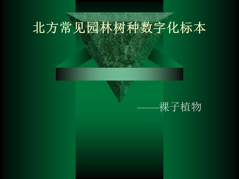 北方常見園林樹木裸子植物_第1頁