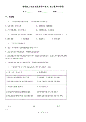 魯教版九年級化學下冊第十一單元 核心素養(yǎng)評價卷