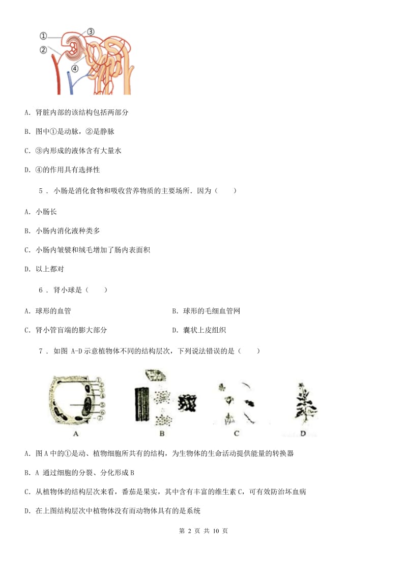 人教版（新课程标准）九年级第一学期生物：人体代谢废物的排出测试题_第2页