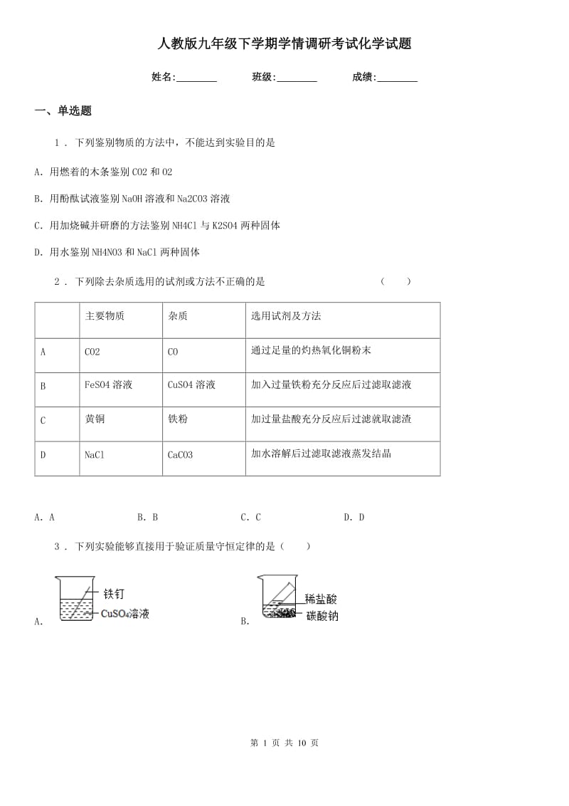 人教版九年级下学期学情调研考试化学试题_第1页