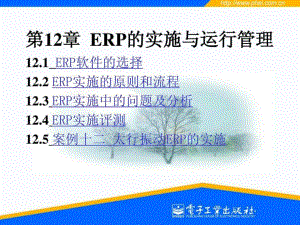 ERP实施与运行管理