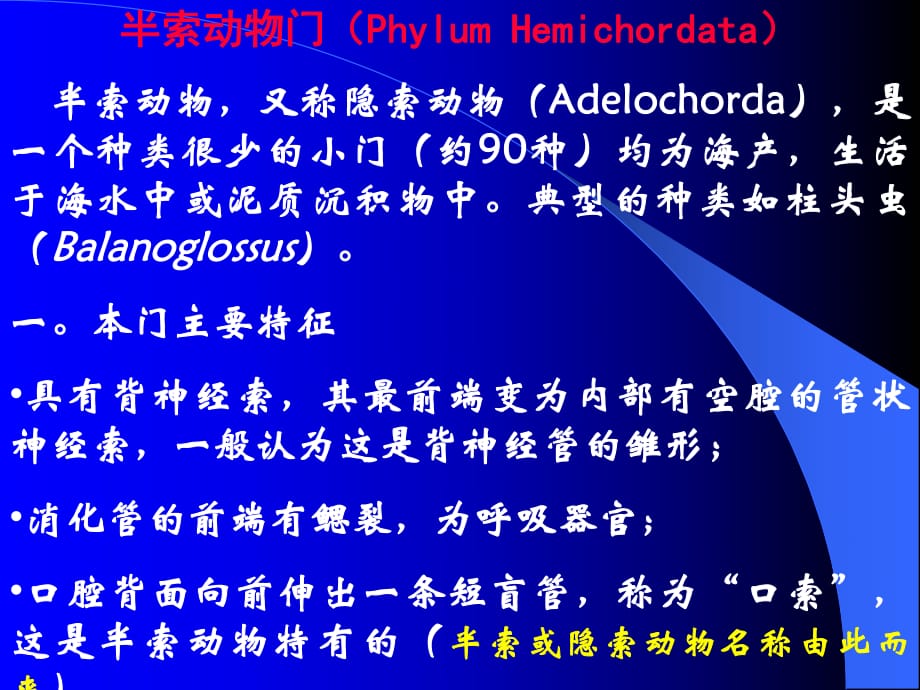 動物學(xué)16半索動物門PhylumHemichordata_第1頁