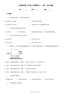 上海教育版九年级上学期期末（一模）化学试题（模拟）