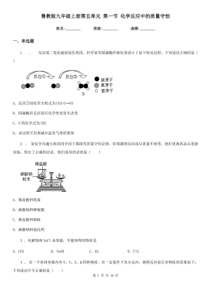 魯教版九年級上冊第五單元 第一節(jié) 化學反應中的質(zhì)量守恒