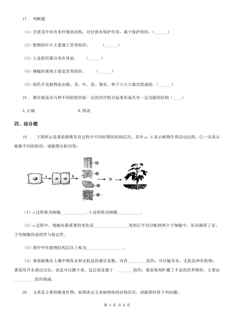 人教版（新课程标准）七年级上生物寒假作业-作业十一_第3页