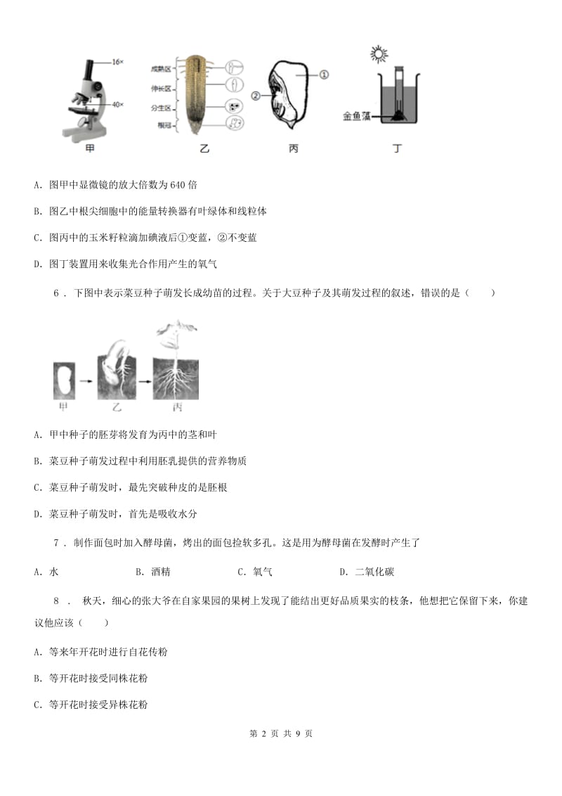 北师大版七年级上册生物第三单元 第6章 绿色开花植物的生活史 章末练习题_第2页