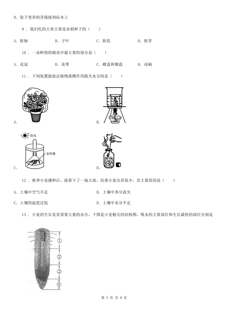 北师大版七年级上册生物第三单元 第6章 绿色开花植物的生活史 章末练习题_第3页