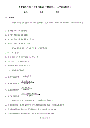 魯教版九年級上冊第四單元 專題訓練三 化學式與化合價