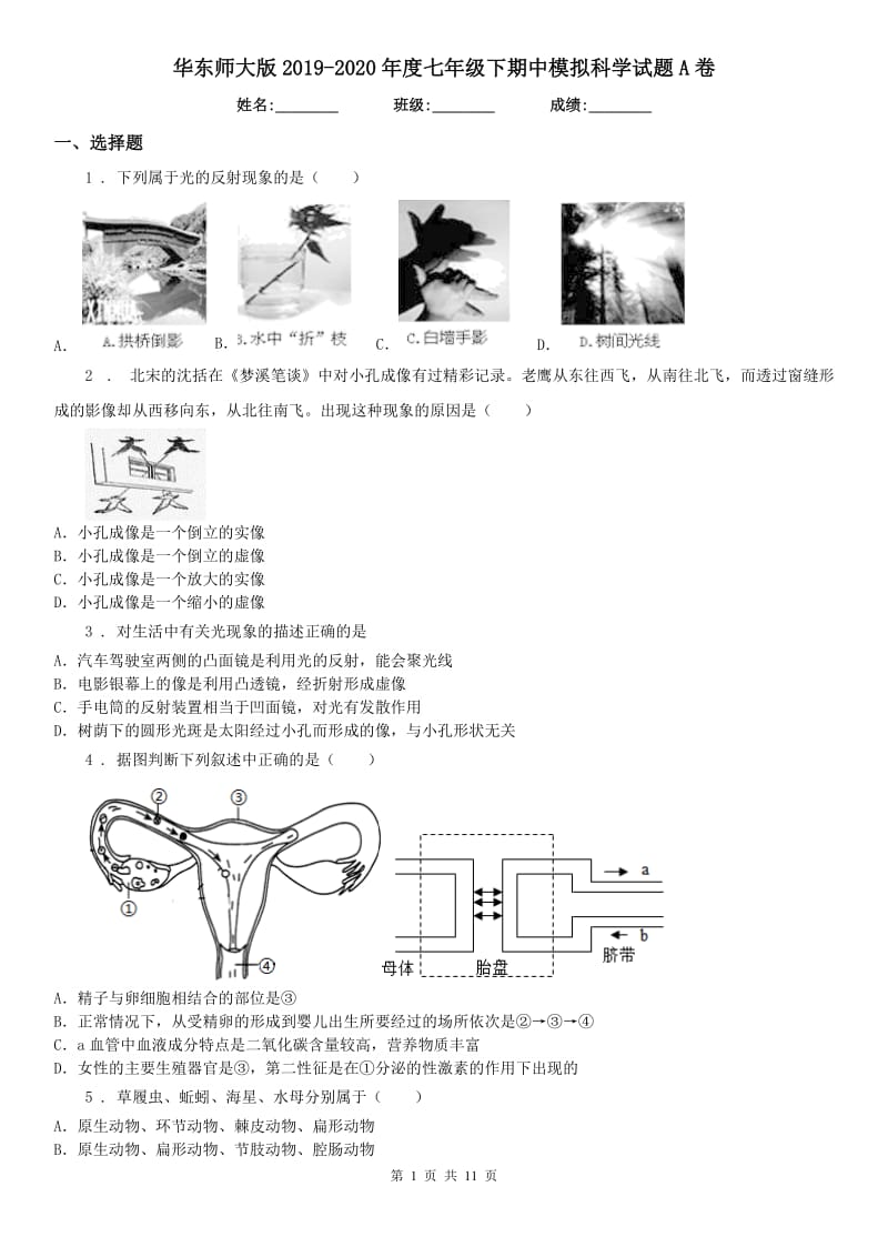 华东师大版2019-2020年度七年级下期中模拟科学试题A卷_第1页