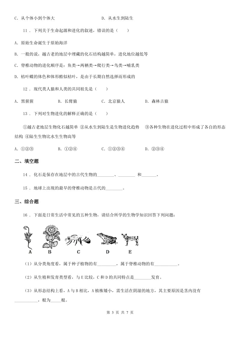 人教版八年级下册生物 7.3.2生物进化的历程_第3页