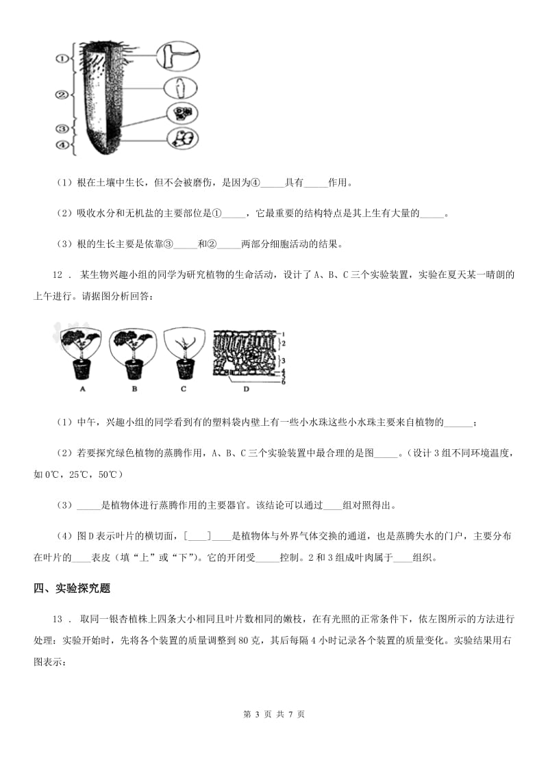 人教版生物七年级上册《3.3绿色植物与生物圈的水循环》测试题_第3页