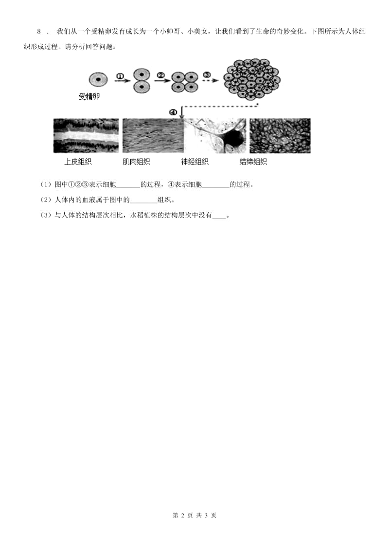 2019年浙教版七年级上册同步测试题_2.3 生物体的结构层次（2）科学试卷C卷_第2页