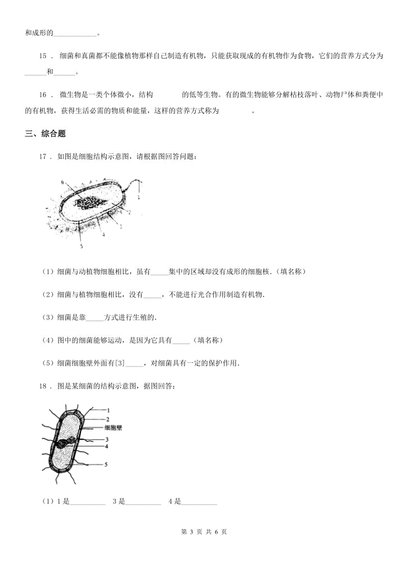 人教版（新课程标准）七年级下册生物 11.2细菌 同步测试题_第3页