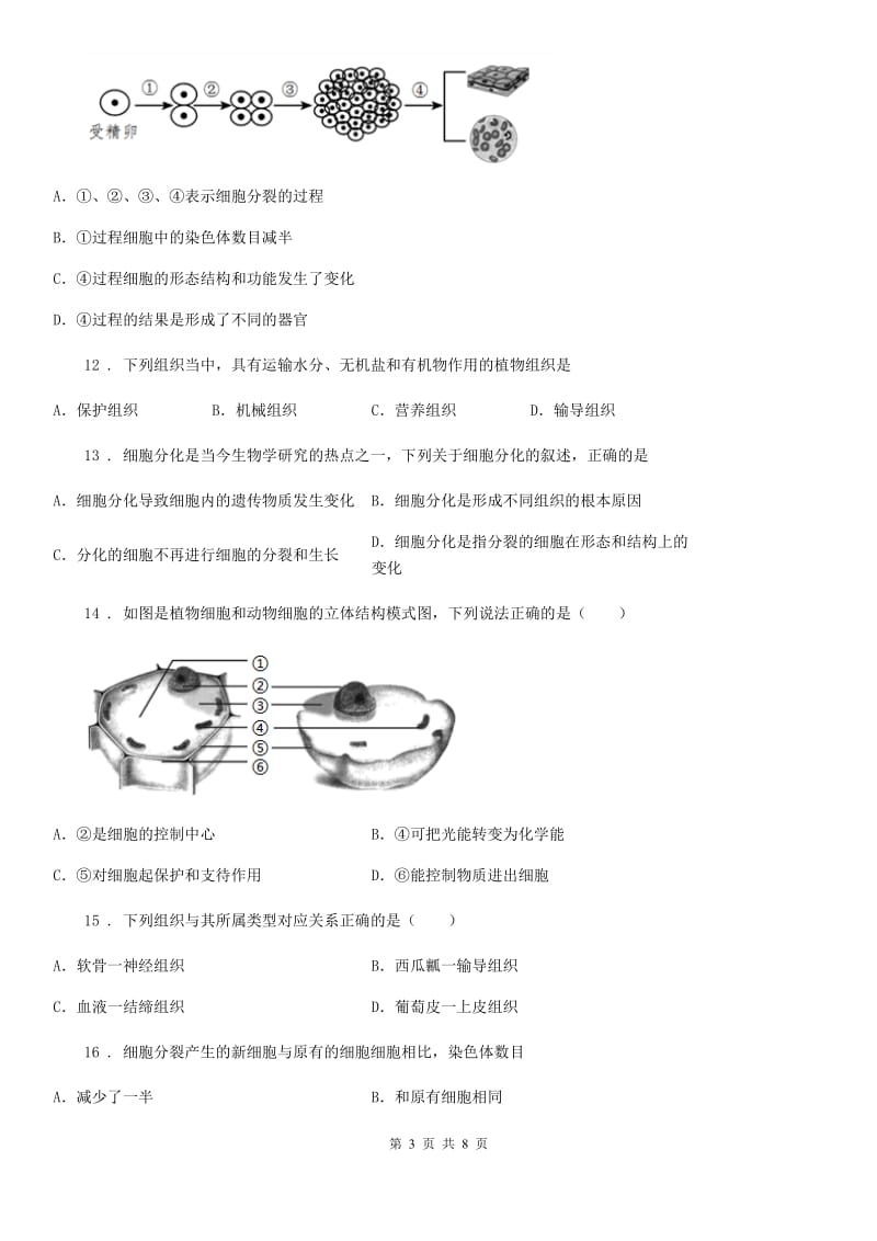 人教版（新课程标准）七年级生物上册第二章：第2节细胞的分裂与分化练习题_第3页