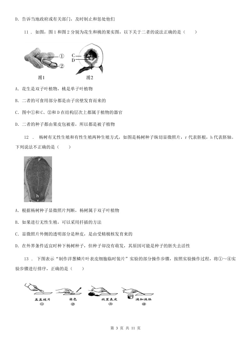 人教版（新课程标准）七年级上学期期末生物试题新编_第3页