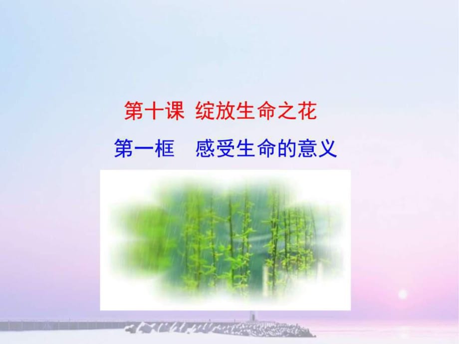 《感受生命的意義》教學(xué)課件_第1頁