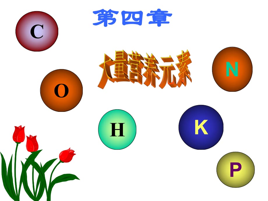 大量營養(yǎng)元素CHONPK_第1頁