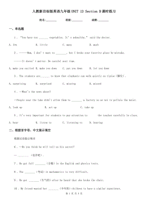 人教新目標(biāo)版英語(yǔ)九年級(jí)UNIT 13 Section B課時(shí)練習(xí)