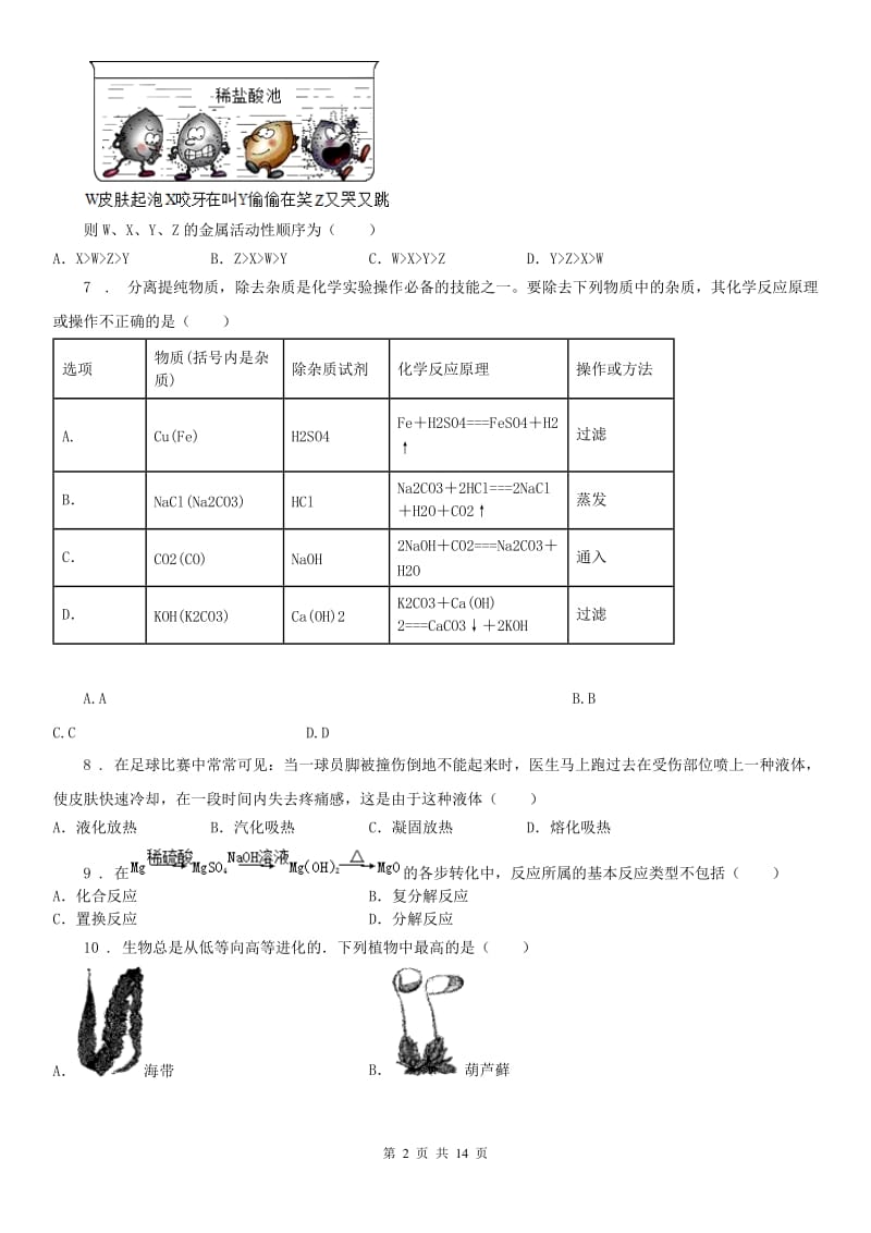 华东师大版2020版九年级上学期期末科学试题（II）卷（模拟）_第2页