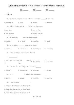 人教新目標(biāo)版九年級(jí)英語(yǔ)Unit 3 Section A (3a-4c)課時(shí)練習(xí)（青島專版）
