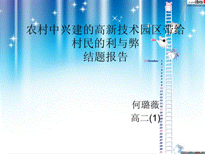 农村中兴建的高新技术园区带给村民的利与弊 结题报告