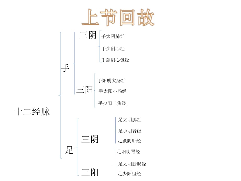 《经络辨证》ppt课件_第1页