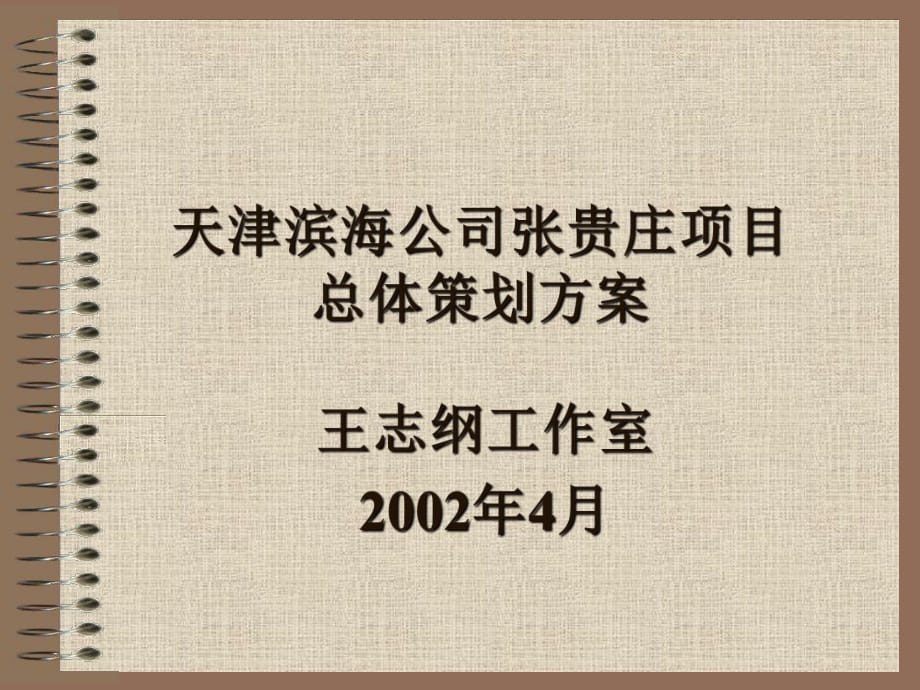 天津濱海公司張貴莊項目總體策劃方案_第1頁