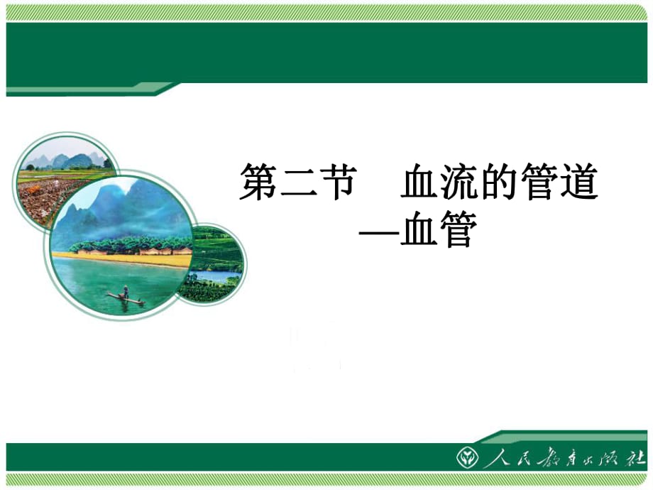 初中生物《血流的管道──血管》教学课件_第1页