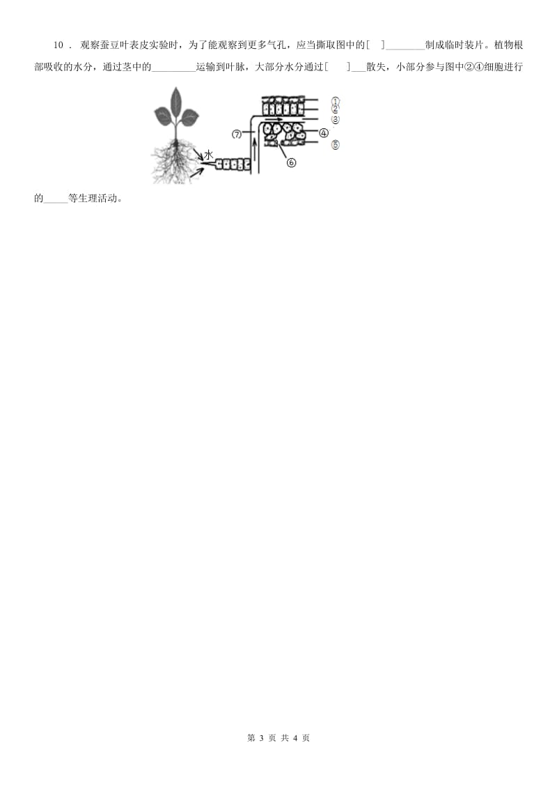 浙教版八年级下册同步练习_4.5 植物的叶与蒸腾作用（2）科学试卷_第3页