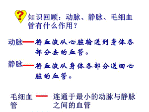 《输送血液的泵心脏》第一课时教学课件