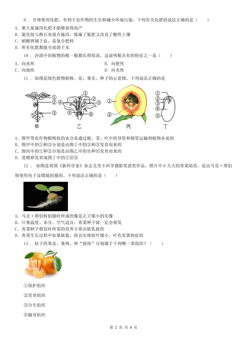 华师大版科学八年级上综合训练4.3无机盐在植物体内的代谢_第2页