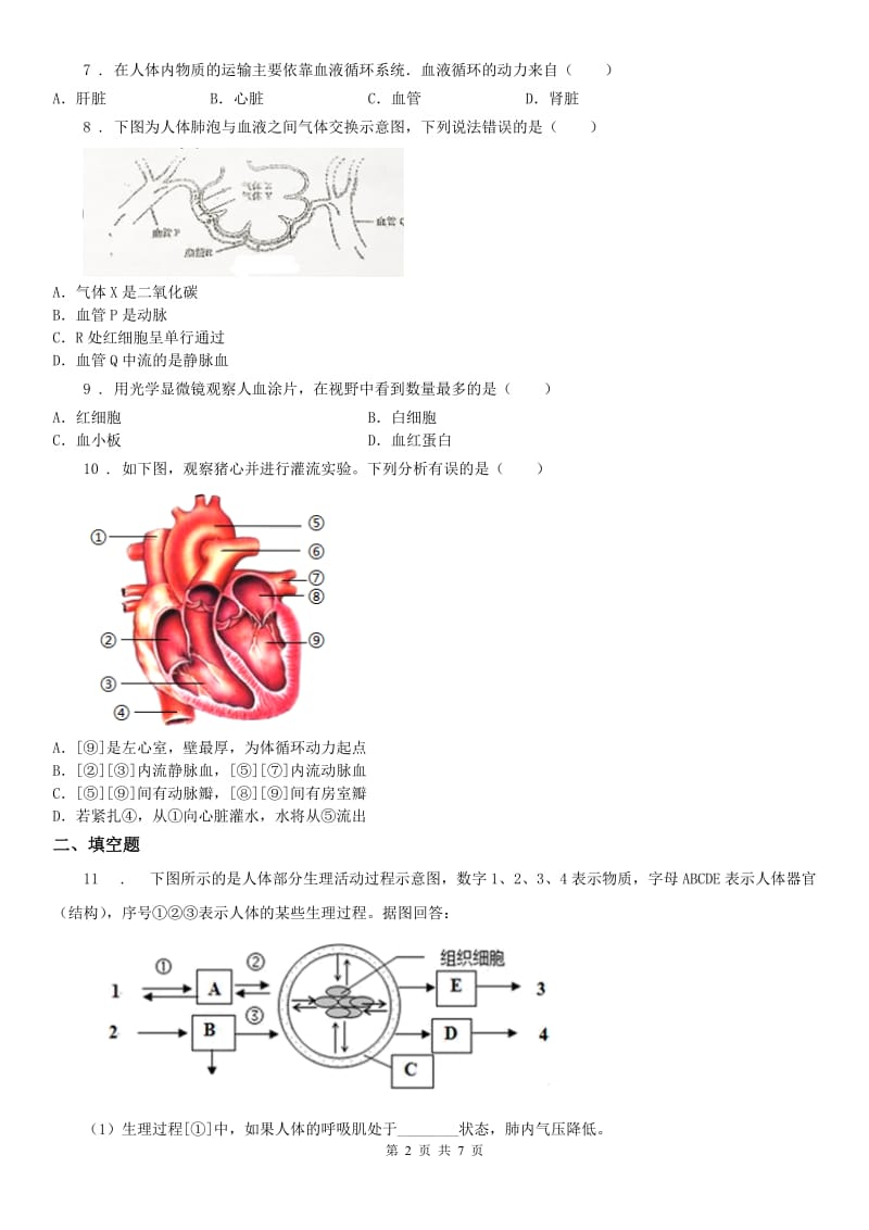 华师大版八年级上册同步自测：5.3人体内物质的运输科学试卷_第2页